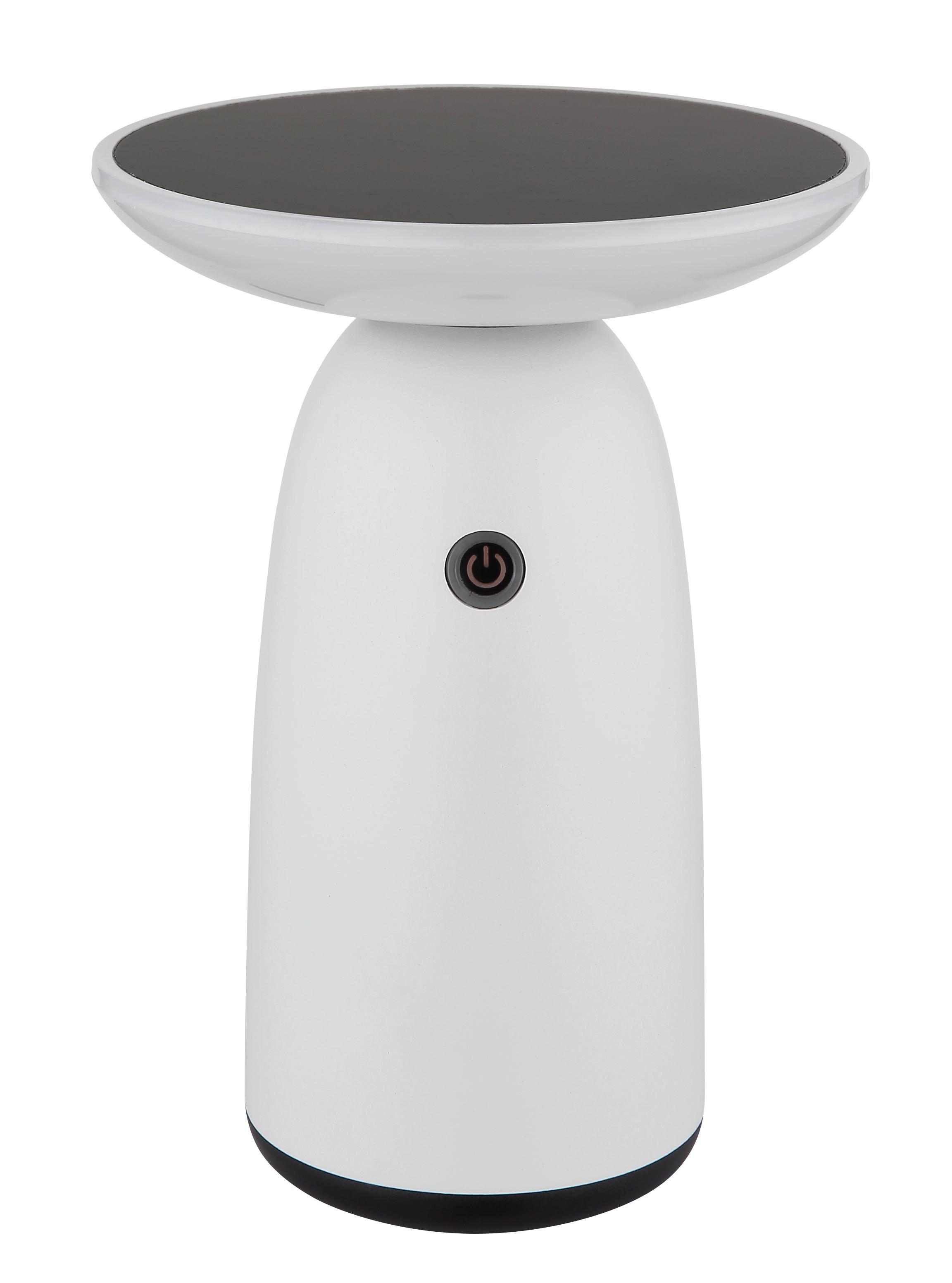 Solarleuchte 36625w  Solar - Weiss/Opal, Design, Kunststoff/Metall (16/22,5cm) - Globo