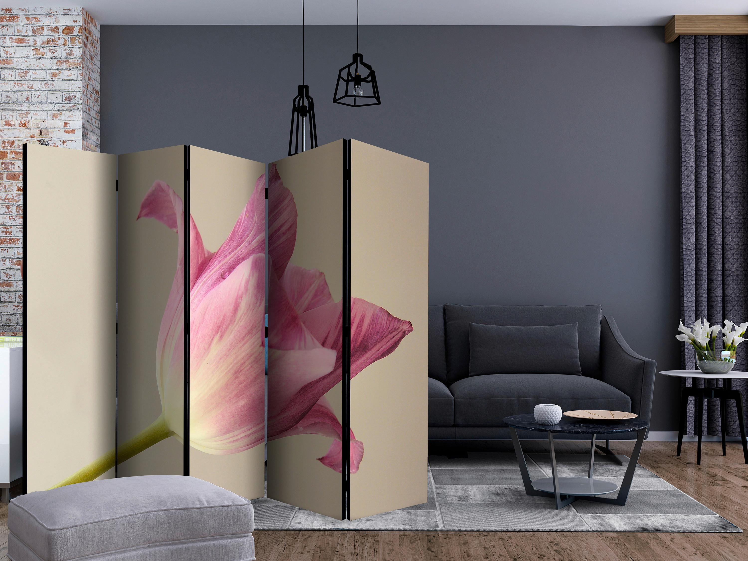Paravan Pink Tulip I, 5-Delni, Dvostranski - pink/bež, Basics, tekstil/les (225/172/3cm) - artgeist