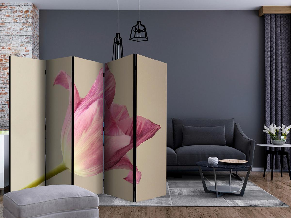 Paravan Pink Tulip I, 5-Delni, Dvostranski - pink/bež, Basics, tekstil/les (225/172/3cm) - artgeist