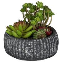 Kunstpflanze Sukkulenten Grün/Anthrazit - Anthrazit/Grün, Design, Keramik/Kunststoff (16cm)