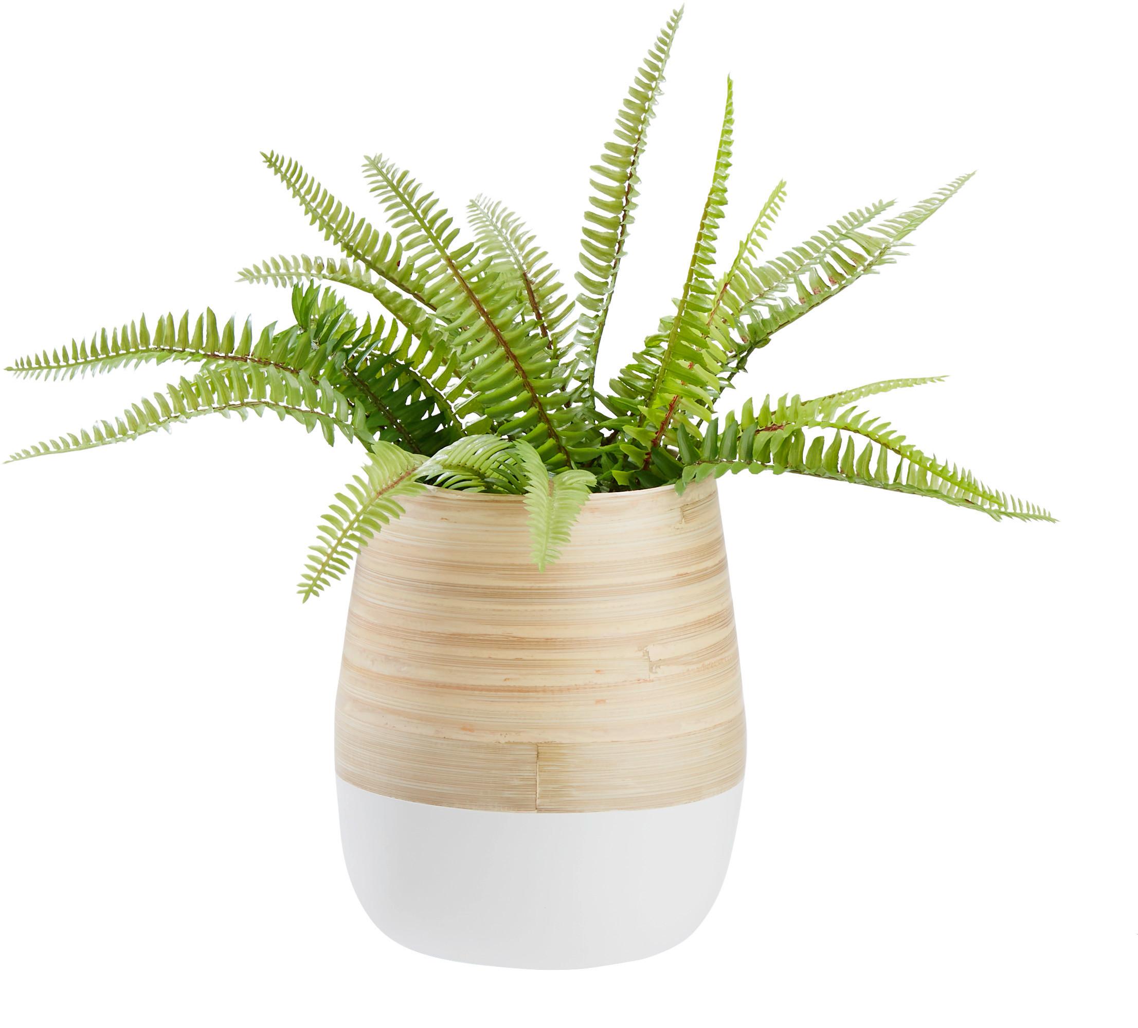 Übertopf Naturelle Ø ca. 16cm - Naturfarben/Weiß, KONVENTIONELL, Naturmaterialien (16/19cm) - Zandiara