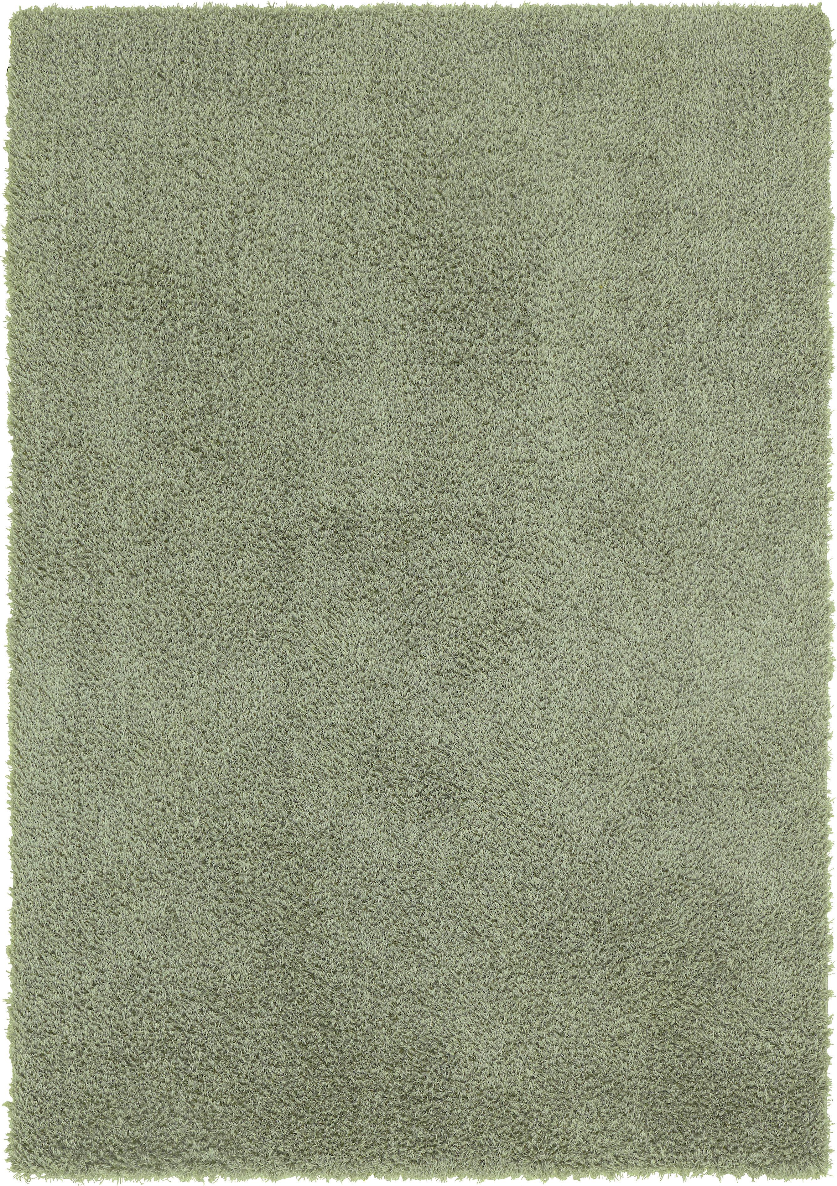 Covor Shaggy Stefan - verde, Modern, textil (120/170cm) - Mömax
