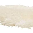 Blană De Oaie Jenny - alb, blană (90-105/60cm) - Mömax modern living Blană De Oaie Jenny - alb, blană (90-105/60cm) - Mömax modern living