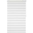 Rulou Zebră Thomas - alb, plastic/textil (100/160cm) - Premium Living Rulou Zebră Thomas - alb, plastic/textil (100/160cm) - Premium Living