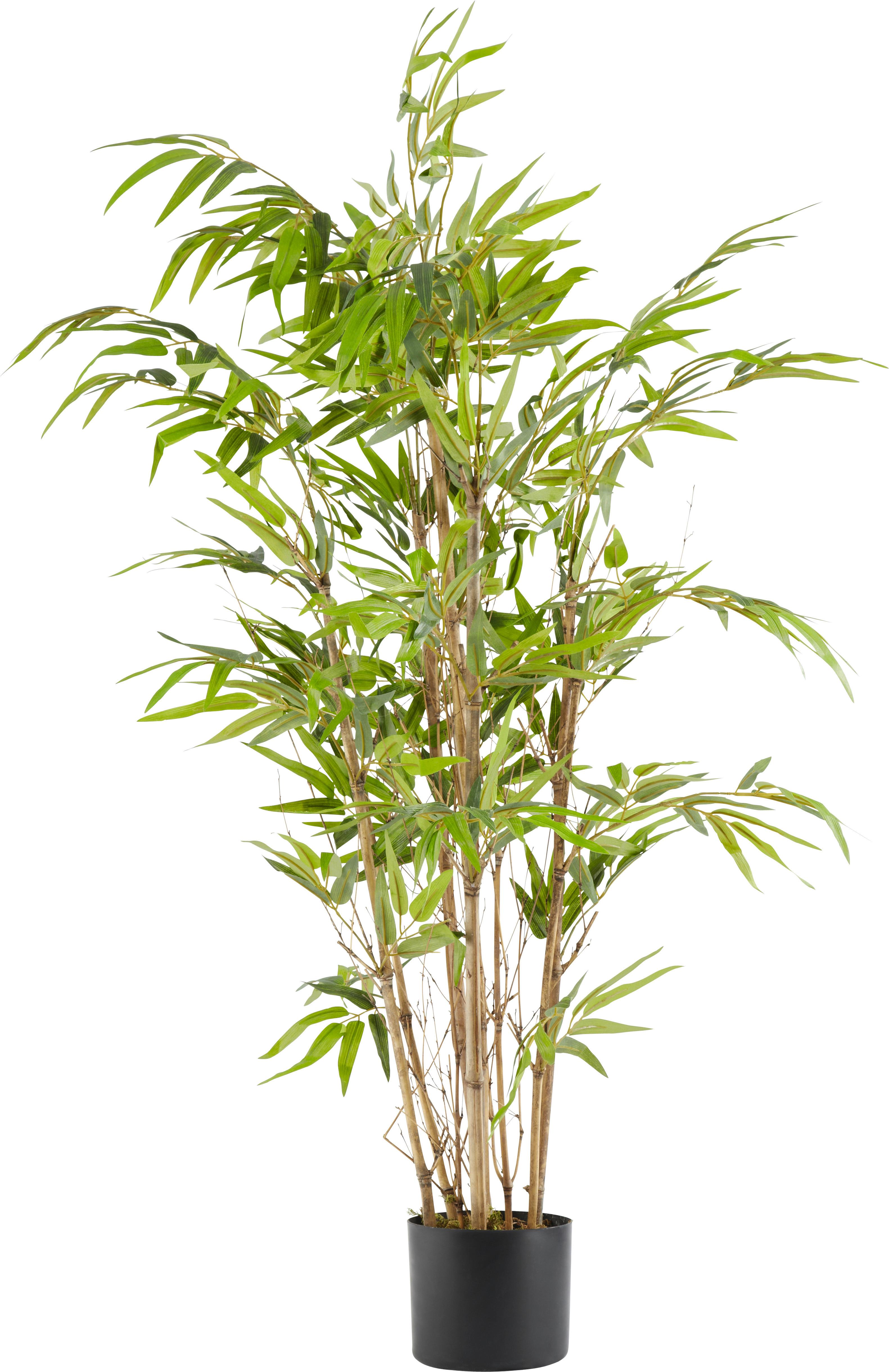 Kunstpflanze Bambus in Grün - Braun/Grün, Kunststoff (120cm) - Modern Living