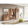 Garderobenschrank Dunkelbraun - Nickelfarben, LIFESTYLE, Holzwerkstoff/Metall (65/200/40cm) - Mömax modern living Garderobenschrank Dunkelbraun - Nickelfarben, LIFESTYLE, Holzwerkstoff/Metall (65/200/40cm) - Mömax modern living
