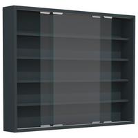 Viseča Vitrina Agisa L, Siva - srebrne barve/antracit, Moderno, steklo/leseni material (77/60/10cm) - MID.YOU