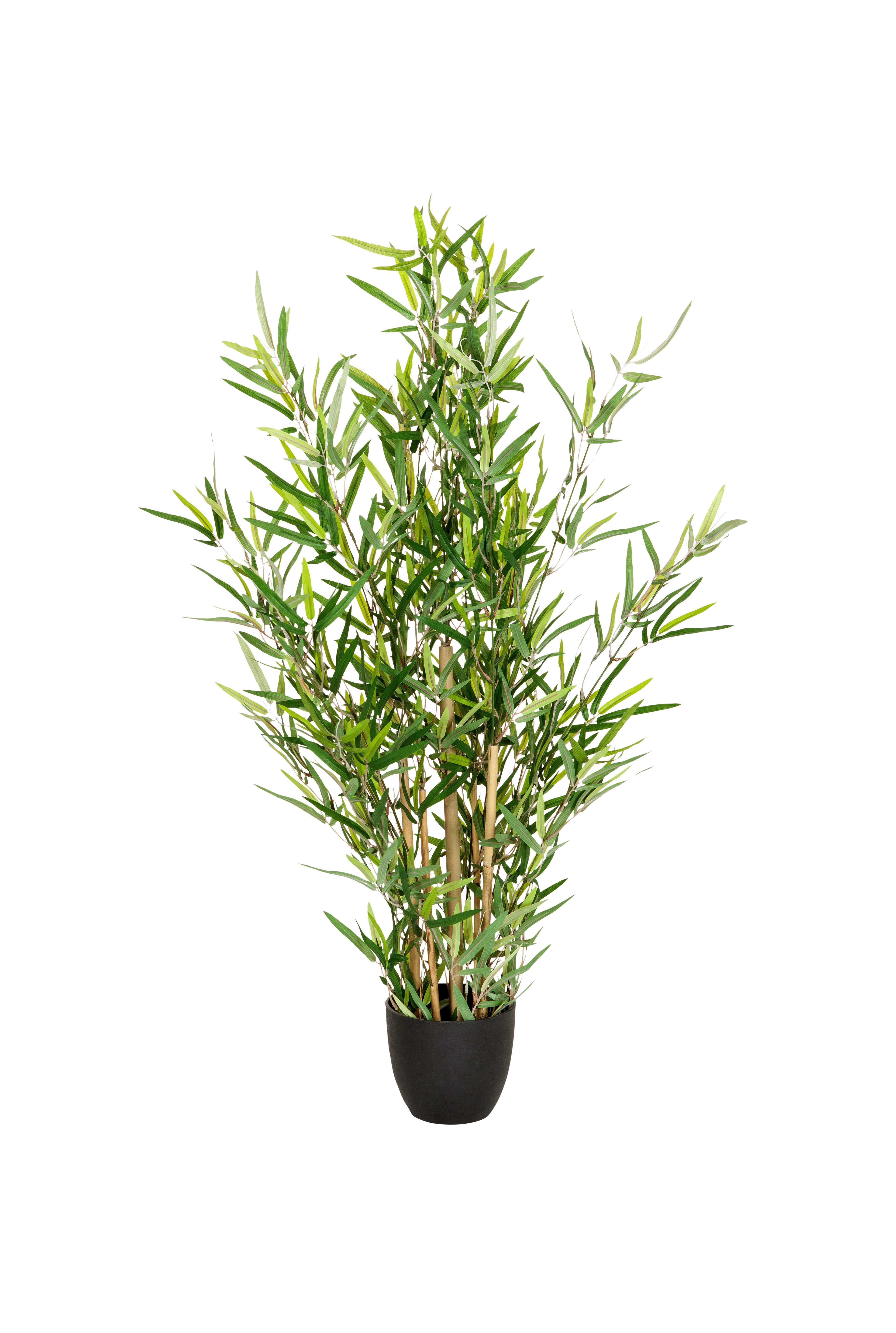 Umetna Rastlina Bambus - svetlo rjava/črna, Basics, umetna masa/tekstil (60/100/60cm) - MID.YOU