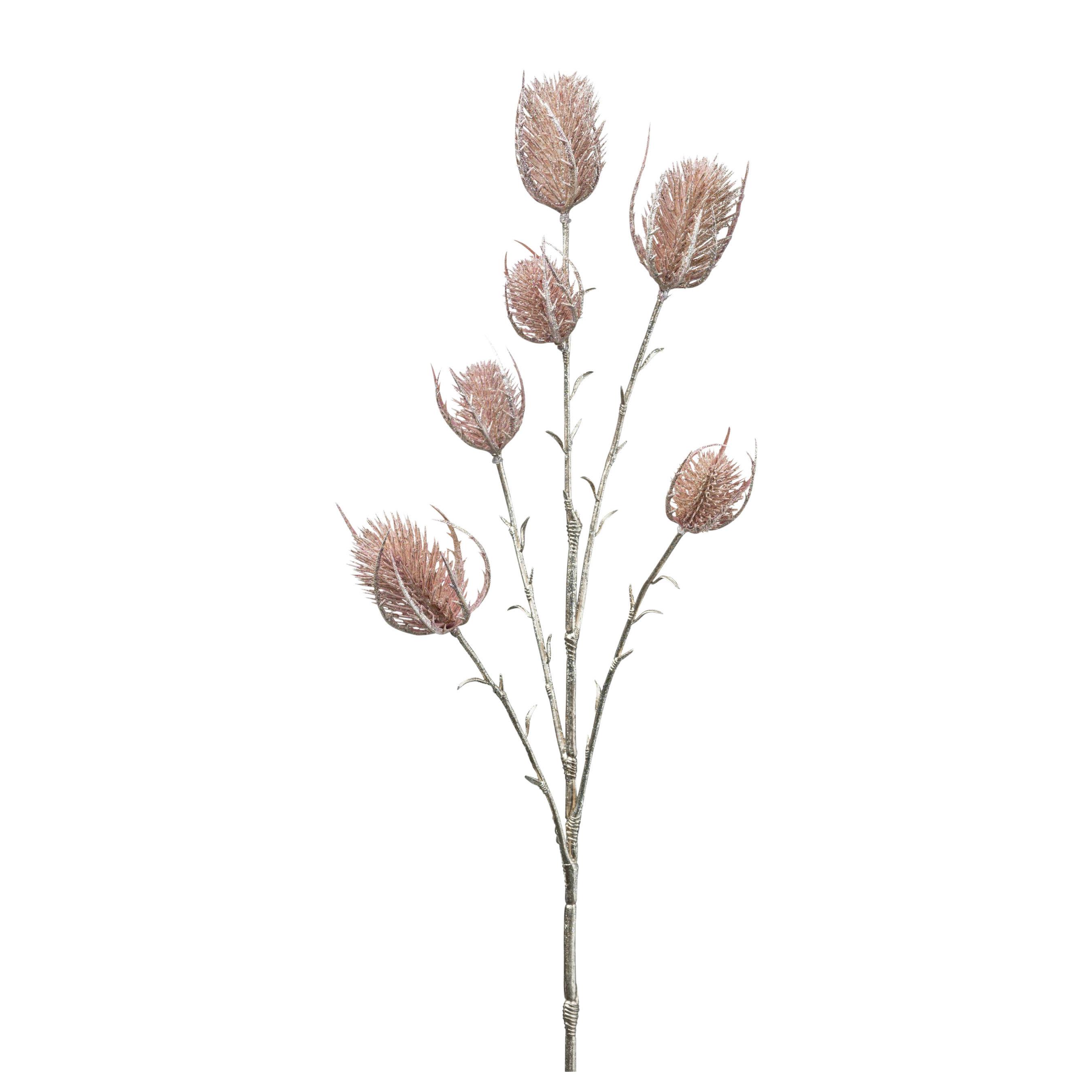 Kunstpflanze Kardendistelzweig I in Rosa - Rosa/Braun, Lifestyle, Kunststoff (64cm) - Modern Living