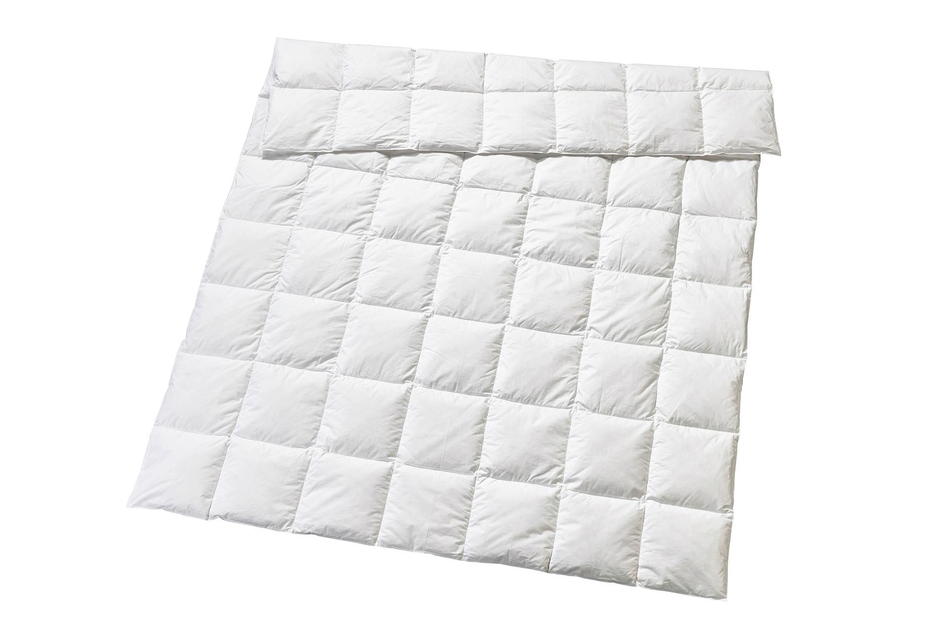 AINA RIFAT - (160/210cm)