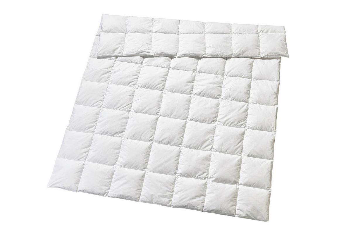 AINA RIFAT - (160/210cm)