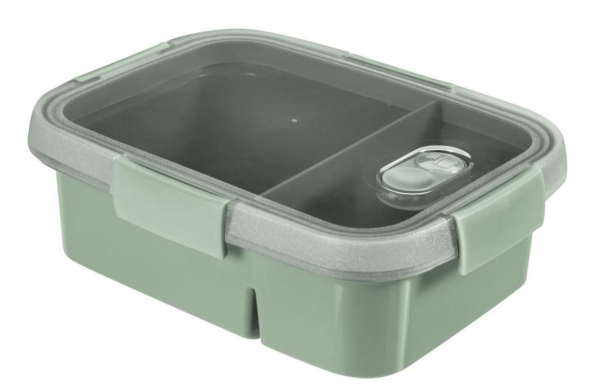 Recipient depozitare alimente Smart to go - verde, plastic (20/15/9cm)