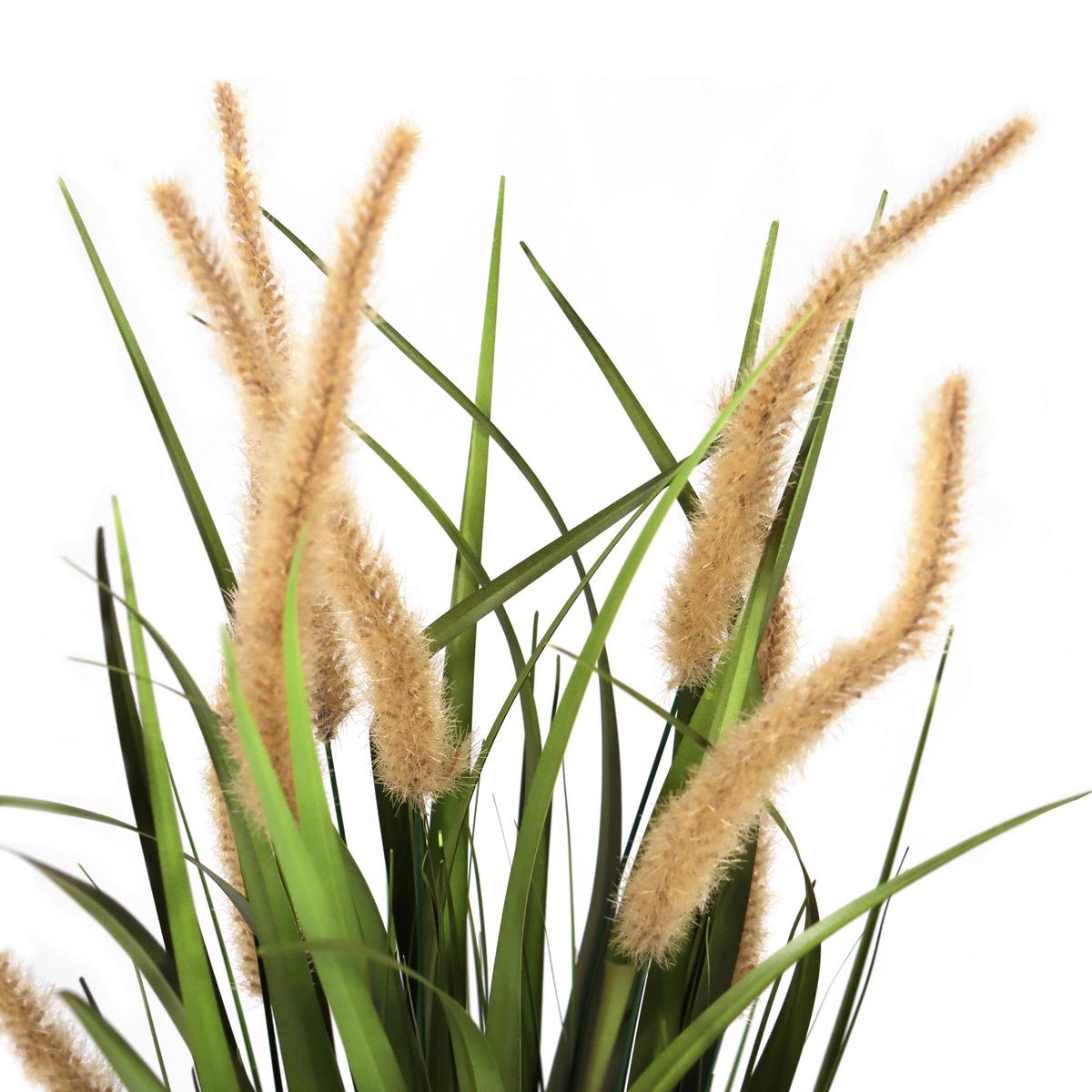 Umetna Rastlina Cortaderia I - zlate barve/zelena, Moderno, umetna masa (20/78/20cm) - MID.YOU