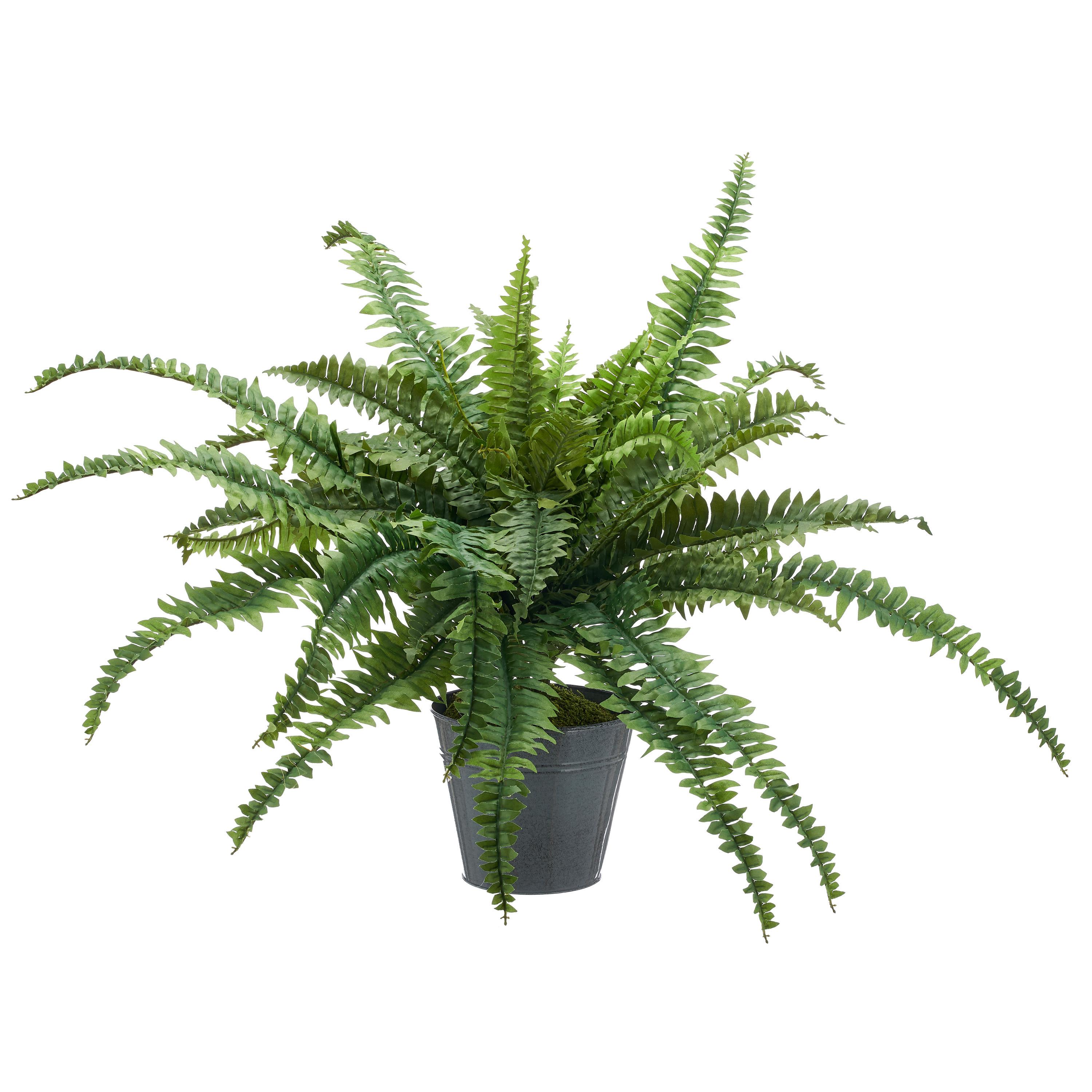Kunstpflanze Bostonfarn Grün Ø ca. 100cm - Zinkfarben/Grün, Basics, Kunststoff/Metall (100cm) - P & B