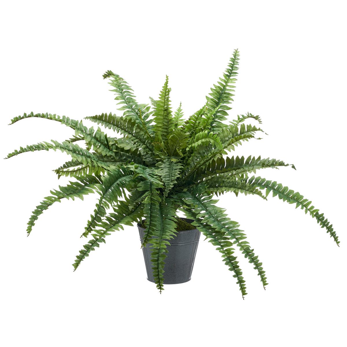 Kunstpflanze Bostonfarn Grün Ø ca. 100cm - Zinkfarben/Grün, Basics, Kunststoff/Metall (100cm) - P & B