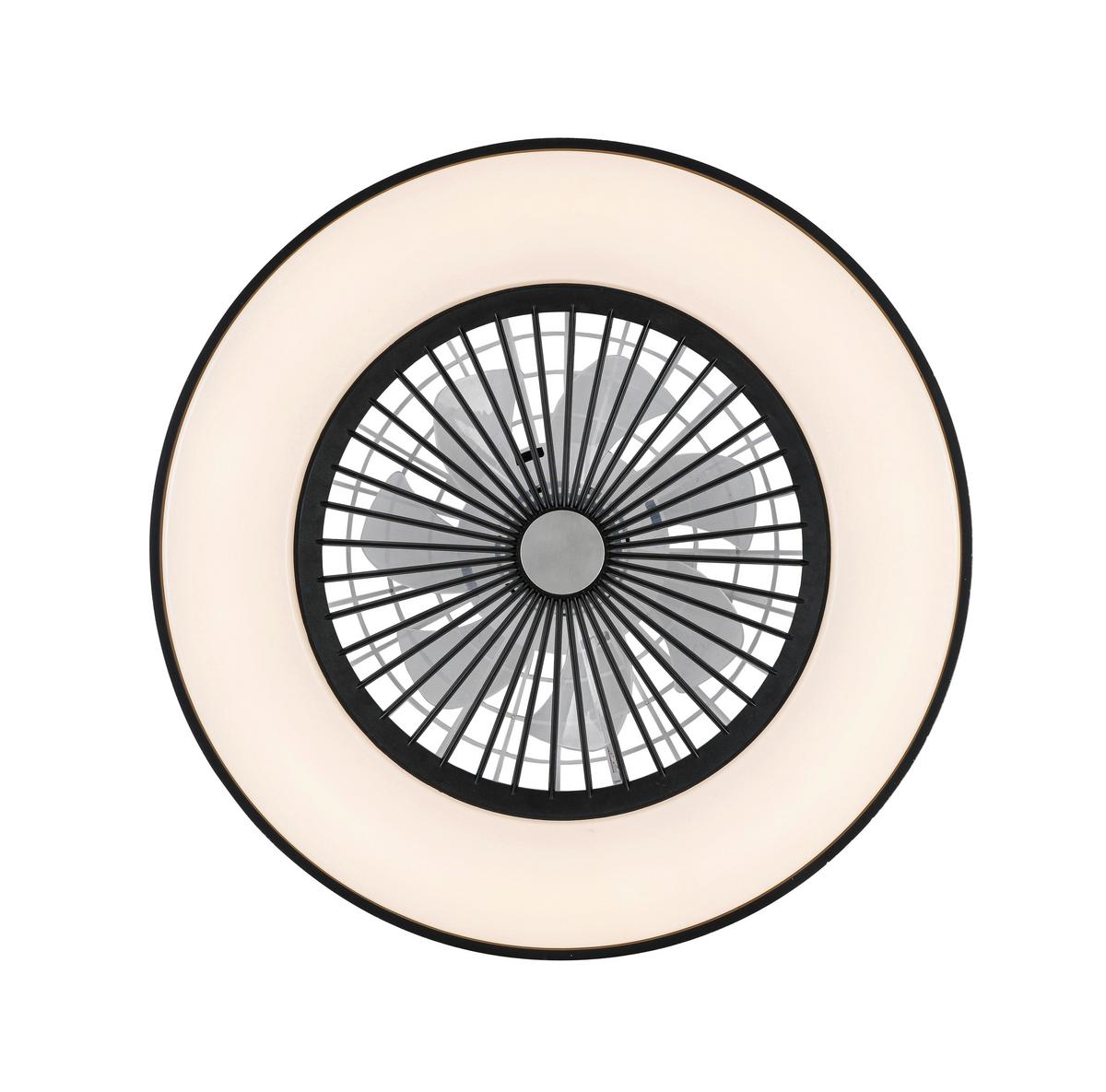 Stropna Led-svetilka Mitzi - črna/bela, Moderno, umetna masa (57/19cm) - Mömax