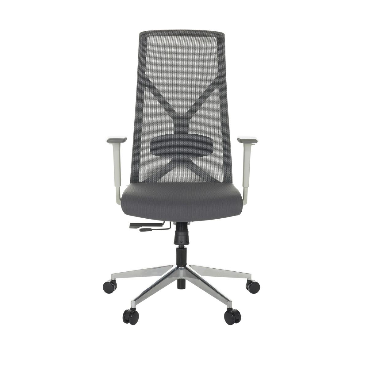 Pisarniški Stol Azurro W, Siva - srebrne barve/črna, Basics, kovina/umetna masa (69/119-128/60cm) - MID.YOU