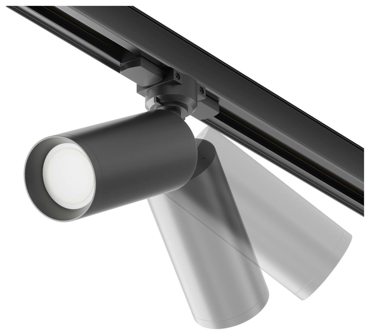 Schienensystem-Strahler Focus Schwarz max. 50 Watt - Schwarz, Basics, Metall (6/21/13cm) - MAYTONI
