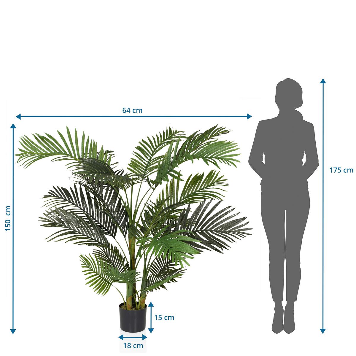 Umetna Rastlina Areca Ii - črna/zelena, Moderno, umetna masa (64/150/60cm) - MID.YOU