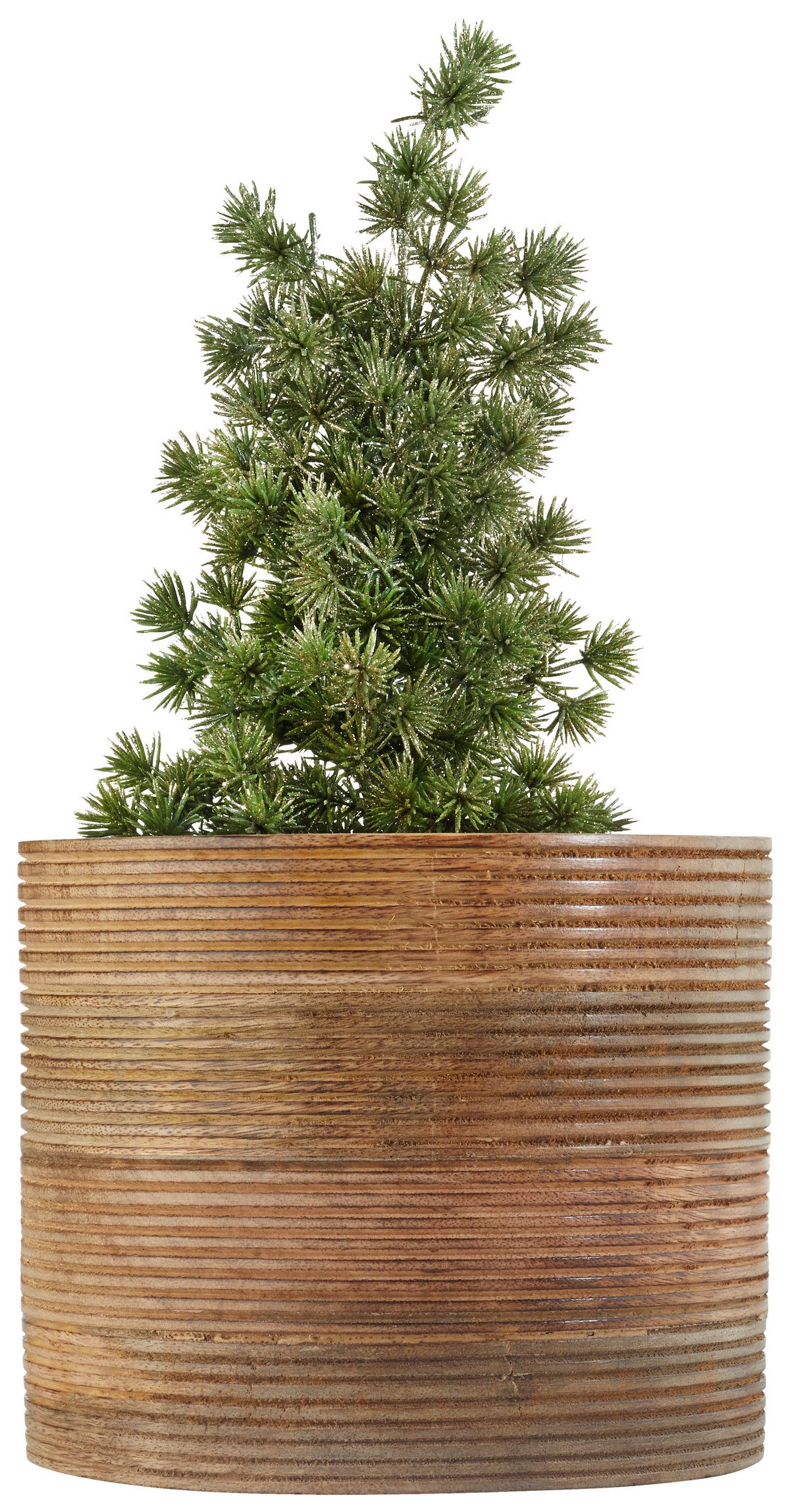 Kaspó Lenuia - natúr színű, Lifestyle, fa (15/17cm) - Premium Living
