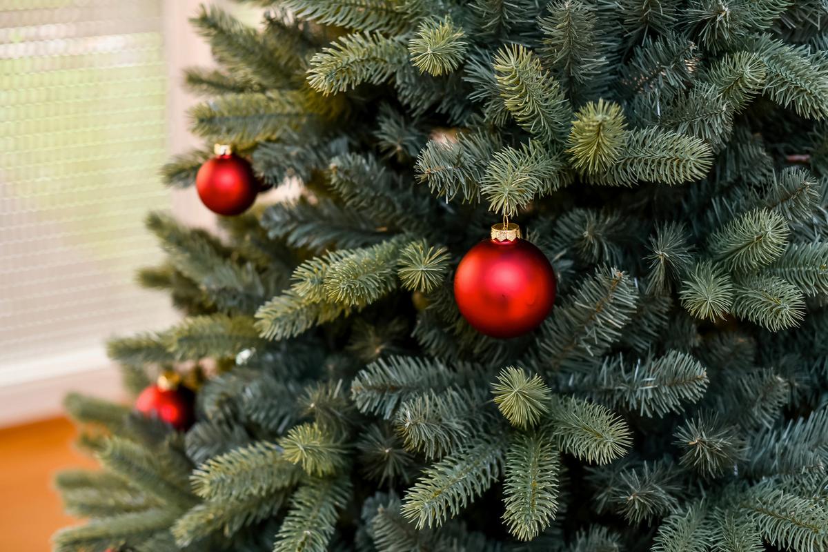 Weihnachtsbaum Evergreen Vermont Waldgrün H: ca. 240cm - Waldgrün, Basics, Kunststoff/Metall (160/240cm)