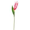 Tulpe Siam in Pink ca. 60cm - Pink/Grün, Basics, Kunststoff (60cm)