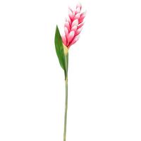 Tulpe Siam in Pink ca. 60cm - Pink/Grün, Basics, Kunststoff (60cm)