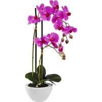 Lepkeorchidea Orchidea - lila/zöld, műanyag/textil (50cm) - Modern Living