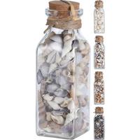 Dekor Kagyló Shellby - természetes anyagok (6/6/19cm)