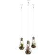 LED-Dekoleuchte Bettina verschiedene Designs - Glas/Kunststoff (9/9/18cm) LED-Dekoleuchte Bettina verschiedene Designs - Glas/Kunststoff (9/9/18cm)