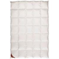 KOŁDRA ZIMOWA GOLF VON ALASKA - sahara, Basics (135/200cm) - Centa-Star