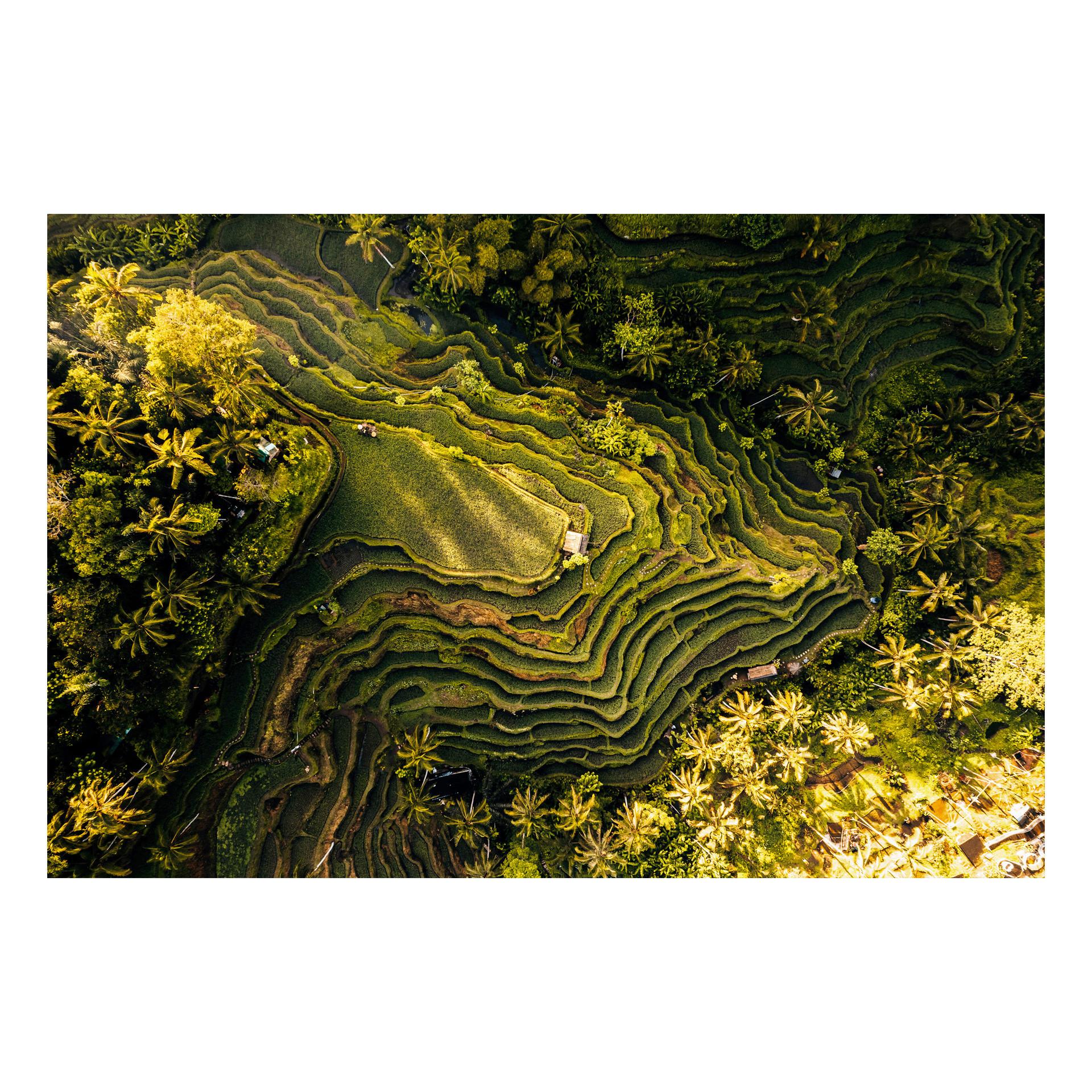 Glasbild Multicolor ca. 120x80cm - Multicolor, Basics, Glas/Papier (120/80cm)