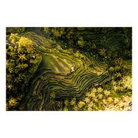 Glasbild Multicolor ca. 120x80cm - Multicolor, Basics, Glas/Papier (120/80cm)