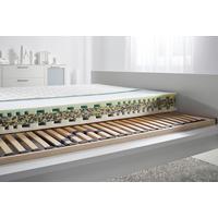 Set Vzmetnice In Letvene Podlage Rocky, 140x200 Cm - barve breze, les (140/200cm) - Nadana