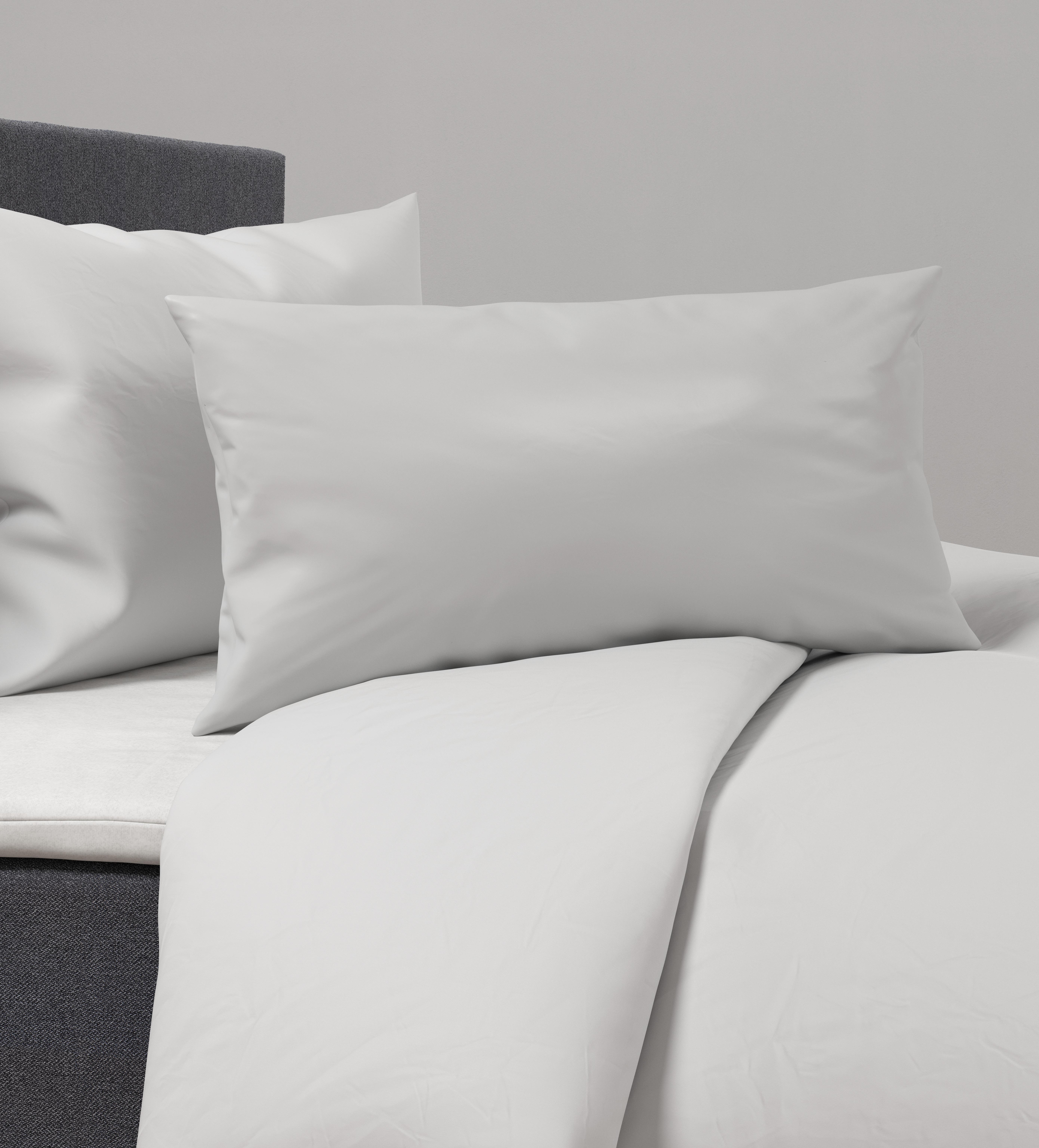 Prevleka Blazine Alex Uni - platinaste barve, Moderno, tekstil (40/80cm) - Premium Living