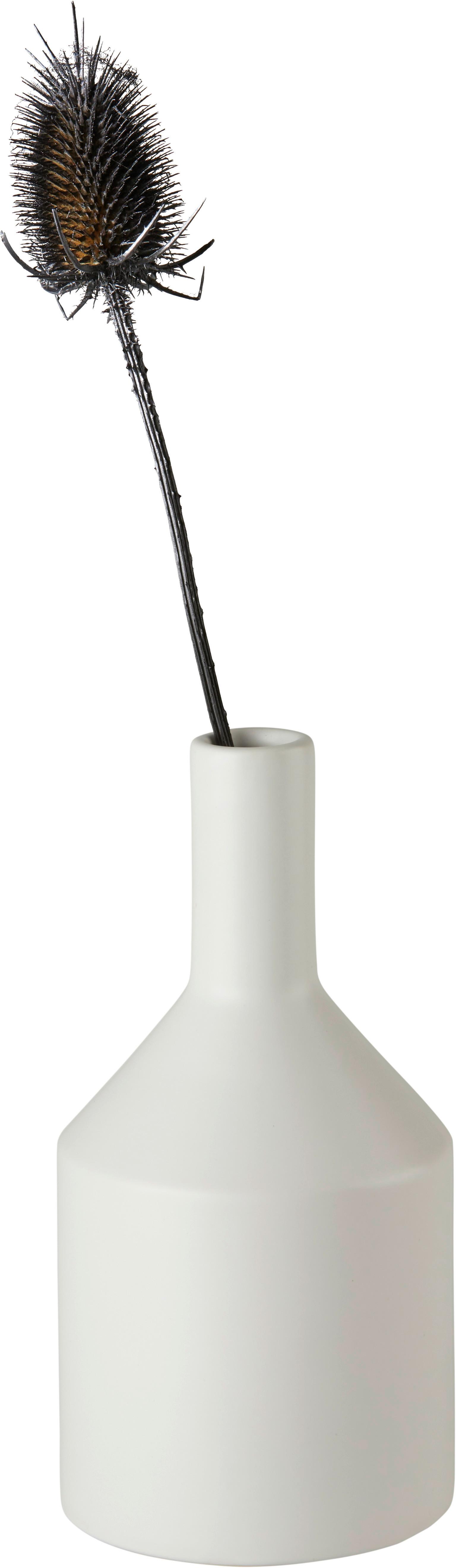 Vase Isabella in Weiß - Weiß, Basics, Keramik (10/20/10cm) - Modern Living