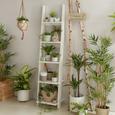 Művirág Helena - zöld, műanyag (18cm) - MÖMAX modern living