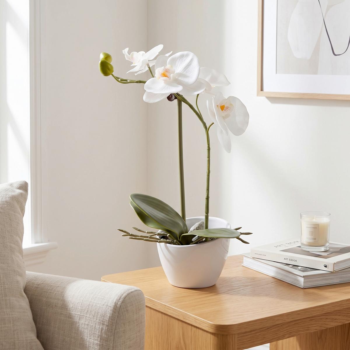 Kunstpflanze Orchidee II Grün - Weiß/Grün, KONVENTIONELL, Kunststoff (33cm) - Based