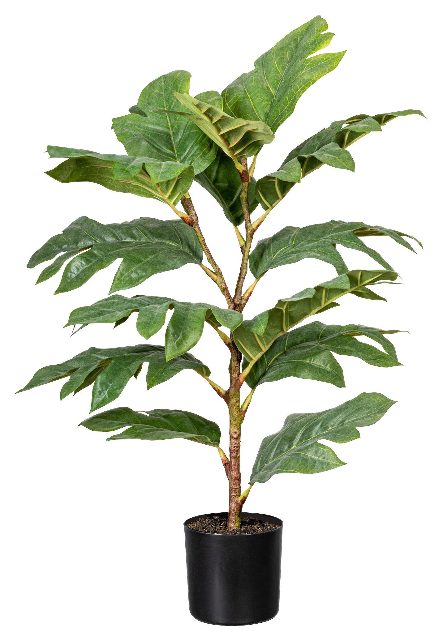 Kunstpflanze Artocarpus I in Grün - Schwarz/Braun, Basics, Kunststoff (70cm) - Modern Living