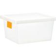 Box mit Deckel Mathias, ca. 41x33x22cm - Transparent, KONVENTIONELL, Kunststoff (41/33/22cm) - MÖMAX modern living