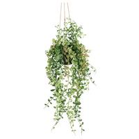 Kunstpflanze Dischidiaranke in Grün - Grün, Basics, Kunststoff (60cm)