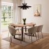 STOL ZOEY - beige/svart, Modern, metall/trä (48/79/61cm) - Bessagi Home