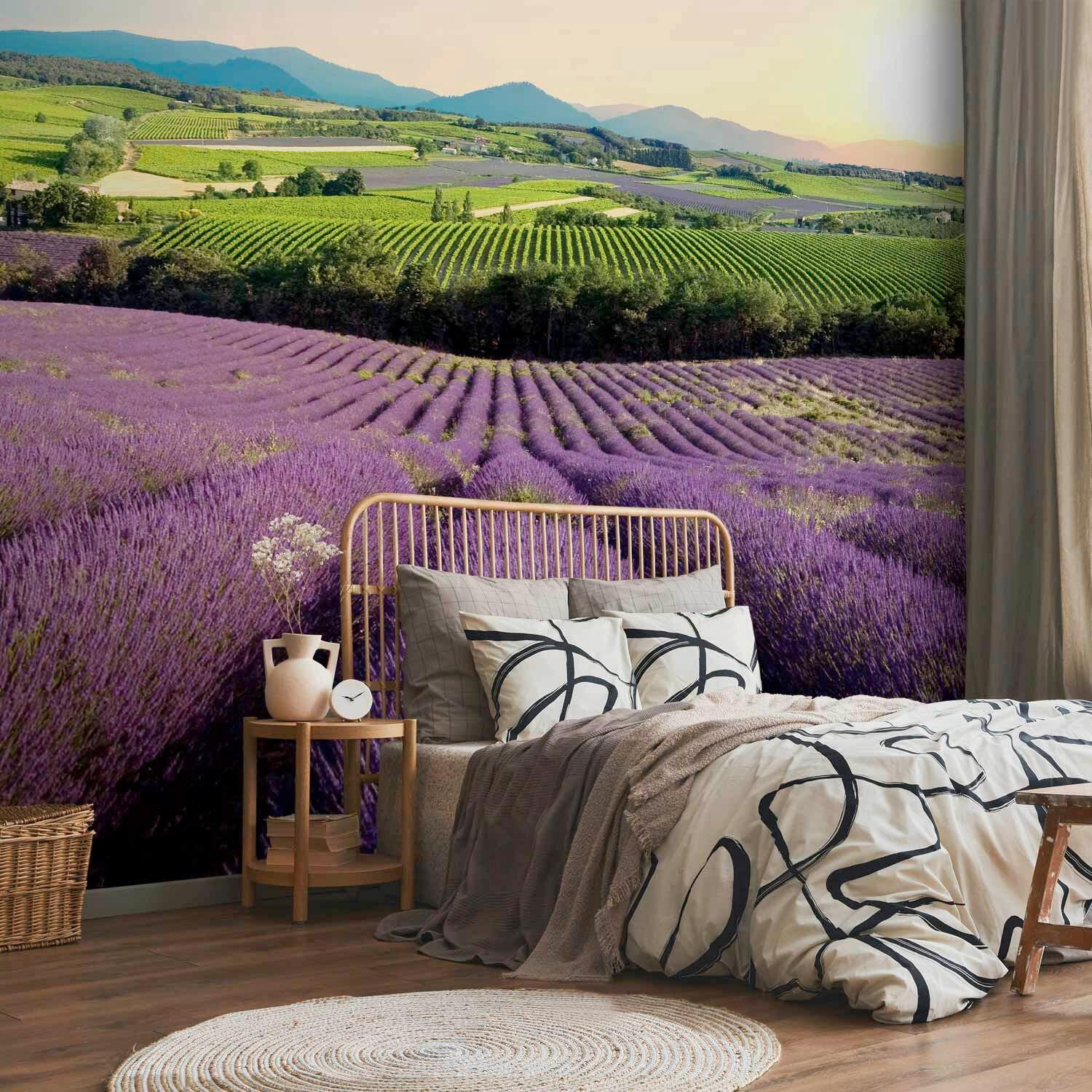 Fototapeta Lavender Field, 300x210cm - vijolična/zelena, Trendi, tekstil (300/210cm) - artgeist