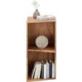 Regal in Akaziefarben - Akaziefarben, Holz (47/86/47cm) - PREMIUM LIVING