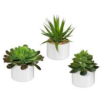 Műnövény Edényben Sukkulenten - zöld, műanyag (18cm) - Modern Living