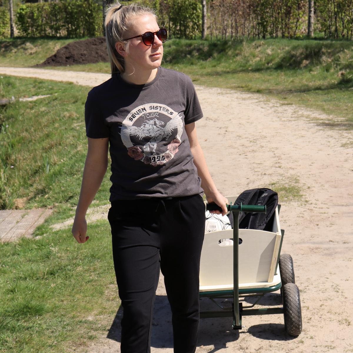 BOLLERWAGEN S030.190.00 - Braun/Grün, Konventionell, Holz/Metall (61/95/97cm)