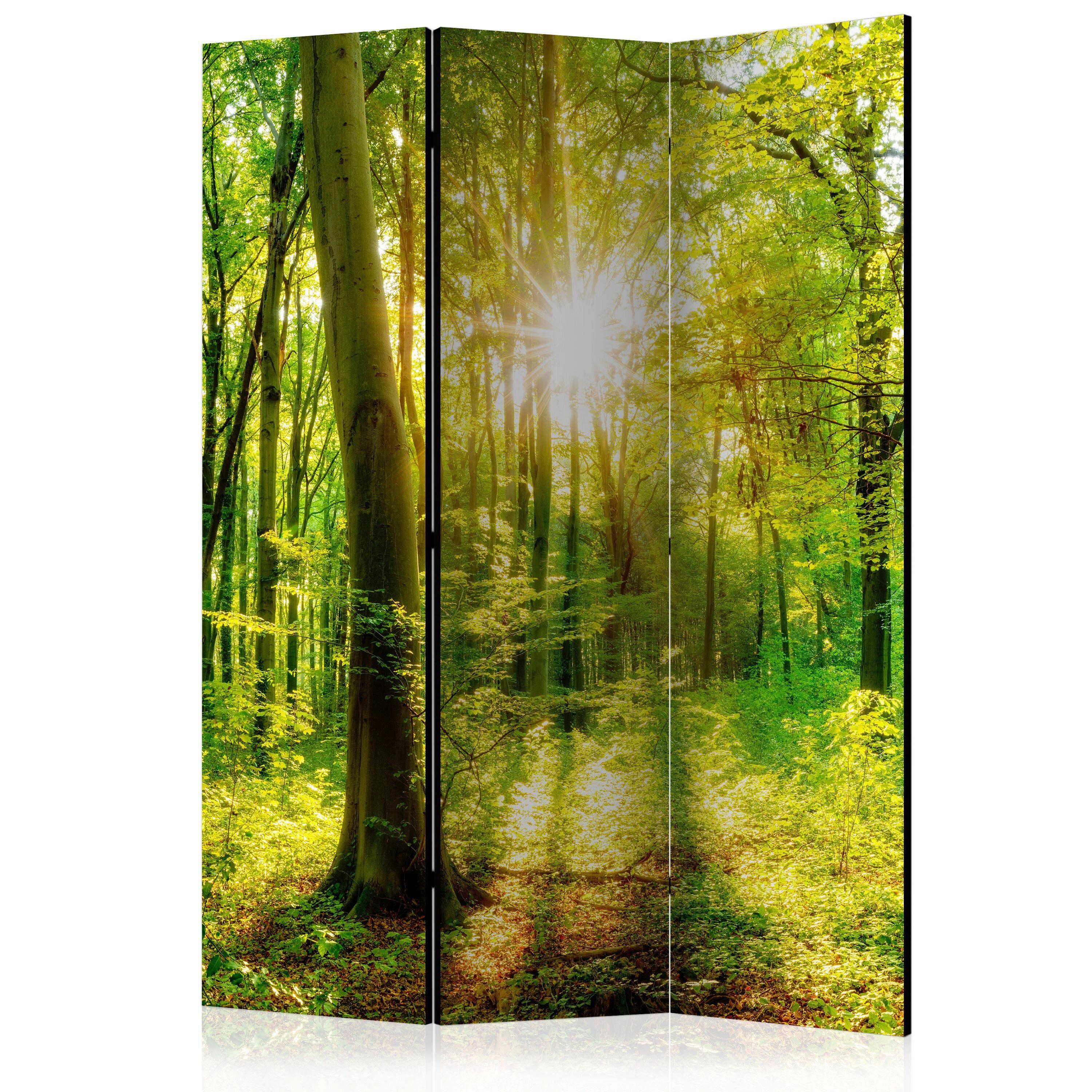 Paravan Forest Rays, Enostranski, 3-Delni - rumena/zelena, Basics, tekstil/les (135/172/3cm) - artgeist