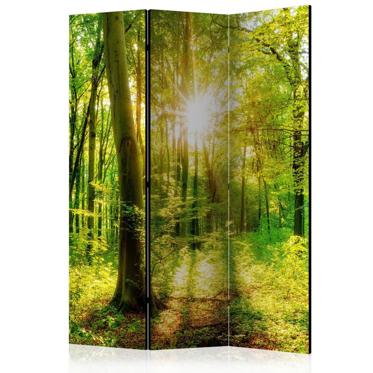Paravan Forest Rays, Enostranski, 3-Delni - rumena/zelena, Basics, tekstil/les (135/172/3cm) - artgeist