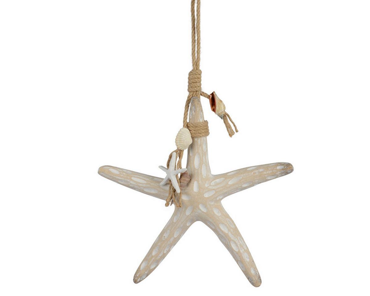 Stea de mare decorativă Star - Basics (4,5/30/30cm)