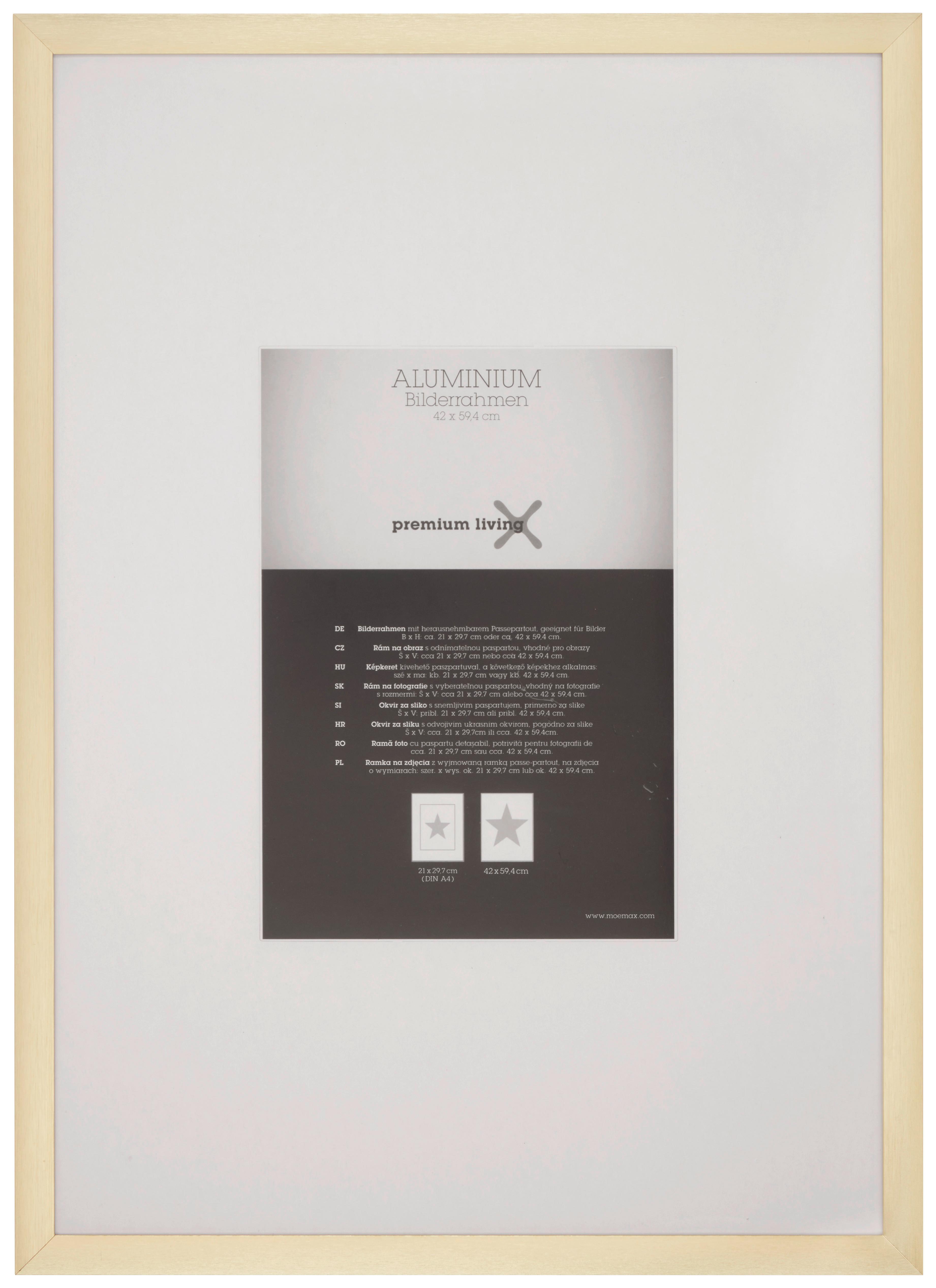 Bilderrahmen Aluminium in Goldfarben - Messingfarben/Goldfarben, ROMANTIK / LANDHAUS, Metall (45,1/62,5/2.2cm) - Premium Living